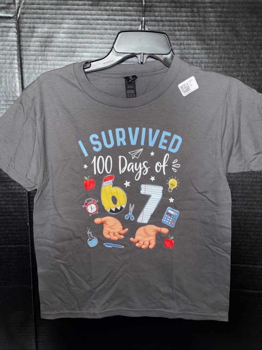 Gildan Gray "I Survived 100 Days of 6/7" Graphic Tee